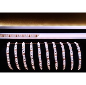 Light Impressions Deko-Light flexibilní LED pásek 3528-120-12V-3000K-5m 12V DC 36,00 W 3000 K 2300 lm 5000 mm 840165